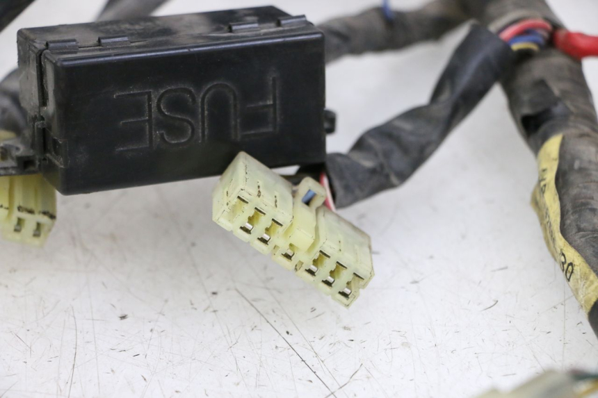 photo de IMPIANTO ELETTRICO YAMAHA XJN DIVERSION 600 (2000 - 2003)