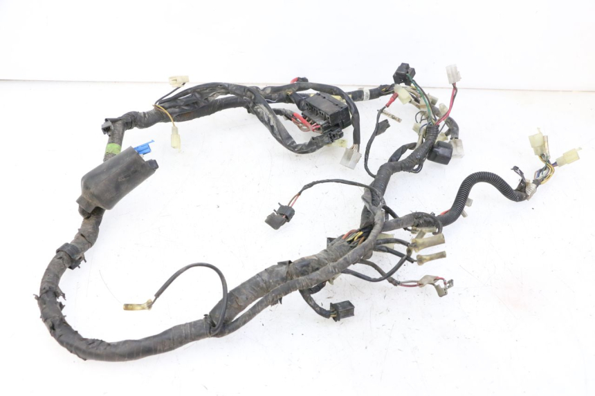 photo de IMPIANTO ELETTRICO YAMAHA XJN DIVERSION 600 (2000 - 2003)
