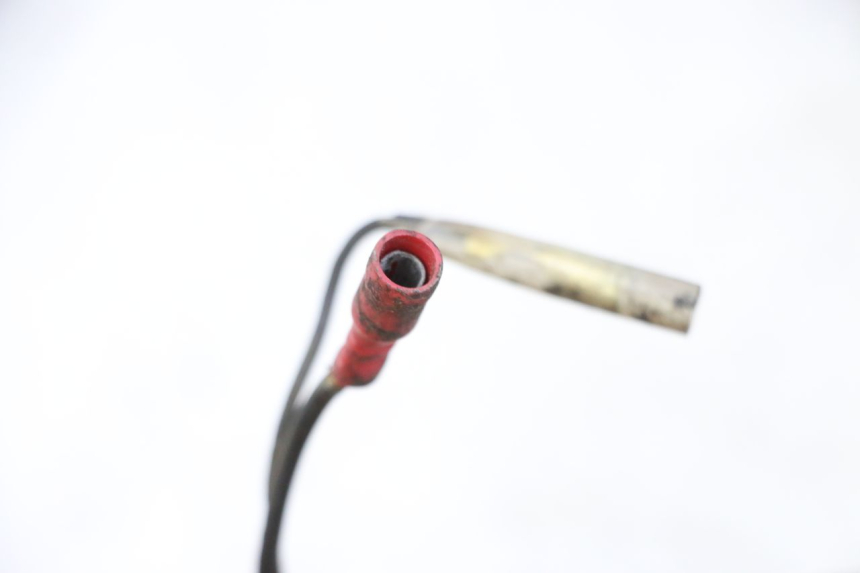 photo de IMPIANTO ELETTRICO YAMAHA XJN DIVERSION 600 (2000 - 2003)
