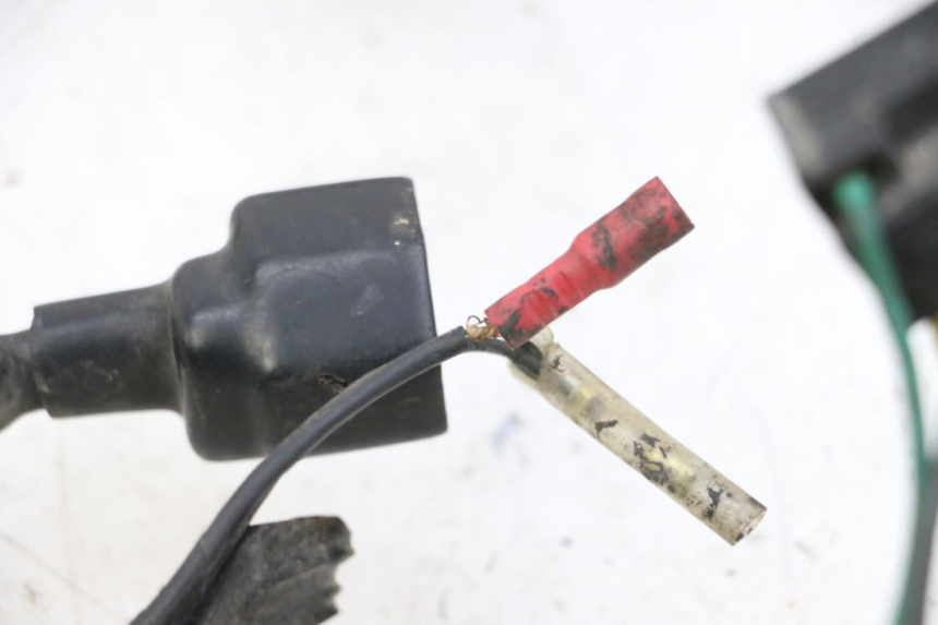 photo de IMPIANTO ELETTRICO YAMAHA XJN DIVERSION 600 (2000 - 2003)