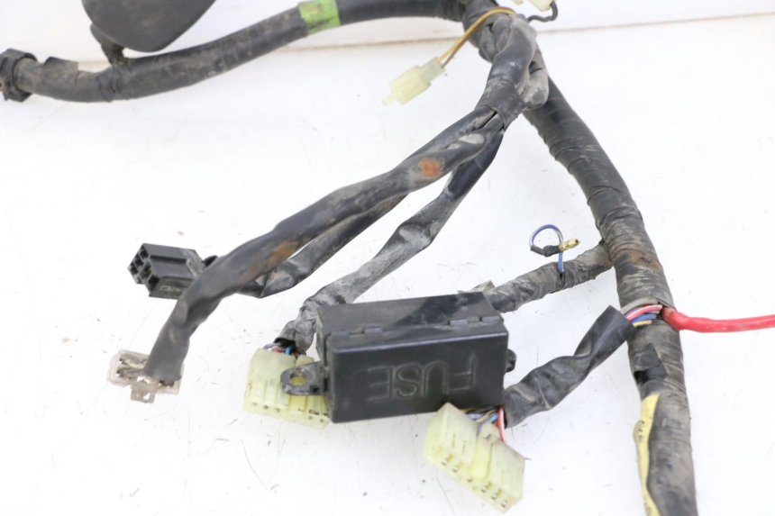 photo de IMPIANTO ELETTRICO YAMAHA XJN DIVERSION 600 (2000 - 2003)