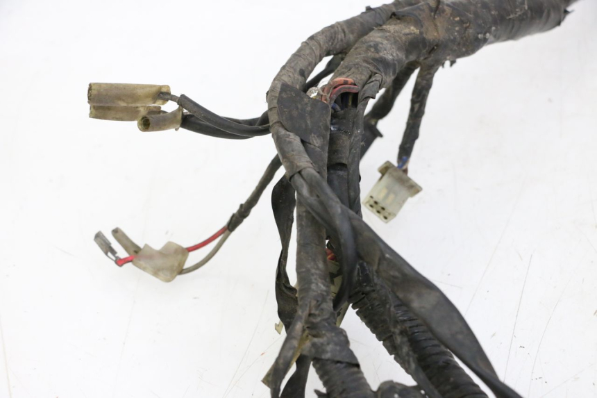 photo de IMPIANTO ELETTRICO YAMAHA XJN DIVERSION 600 (2000 - 2003)