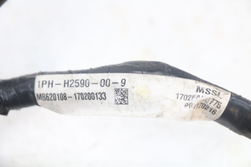 photo de FAISCEAU YAMAHA AEROX 2T 50 (2013 - 2017)