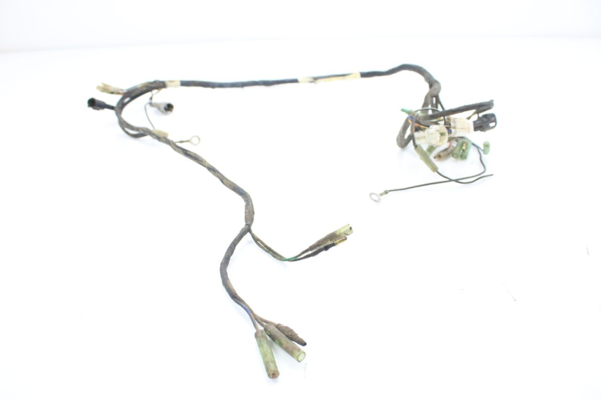 photo de FAISCEAU YAMAHA BLASTER 200 (1987 - 2002)