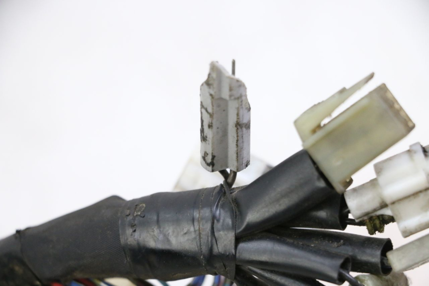 photo de IMPIANTO ELETTRICO YAMAHA FZ6 FAZER S2 600 (2007 - 2011)