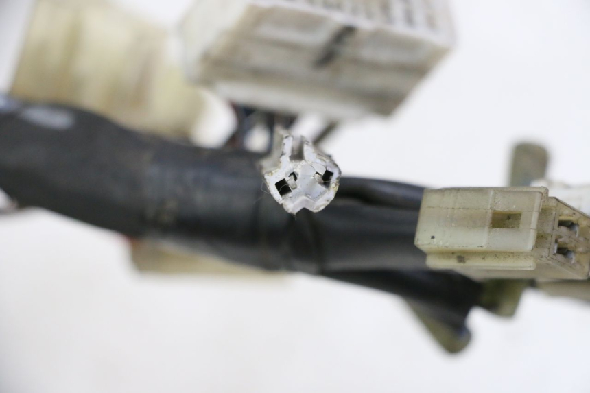 photo de IMPIANTO ELETTRICO YAMAHA FZ6 FAZER S2 600 (2007 - 2011)