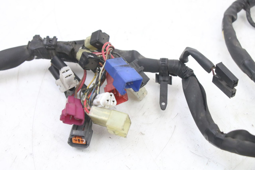 photo de IMPIANTO ELETTRICO YAMAHA FZS FAZER 600 (2001 - 2003)