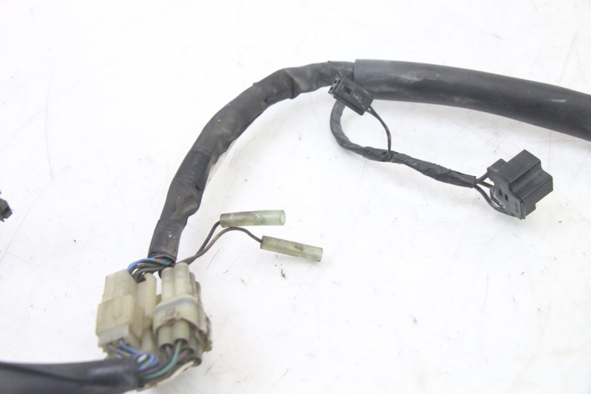 photo de IMPIANTO ELETTRICO YAMAHA FZS FAZER 600 (2001 - 2003)