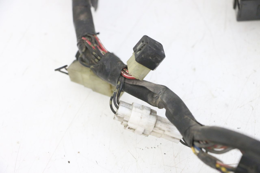 photo de IMPIANTO ELETTRICO YAMAHA FZS FAZER 600 (2001 - 2003)