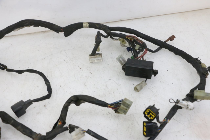 photo de IMPIANTO ELETTRICO YAMAHA FZS FAZER 600 (2001 - 2003)