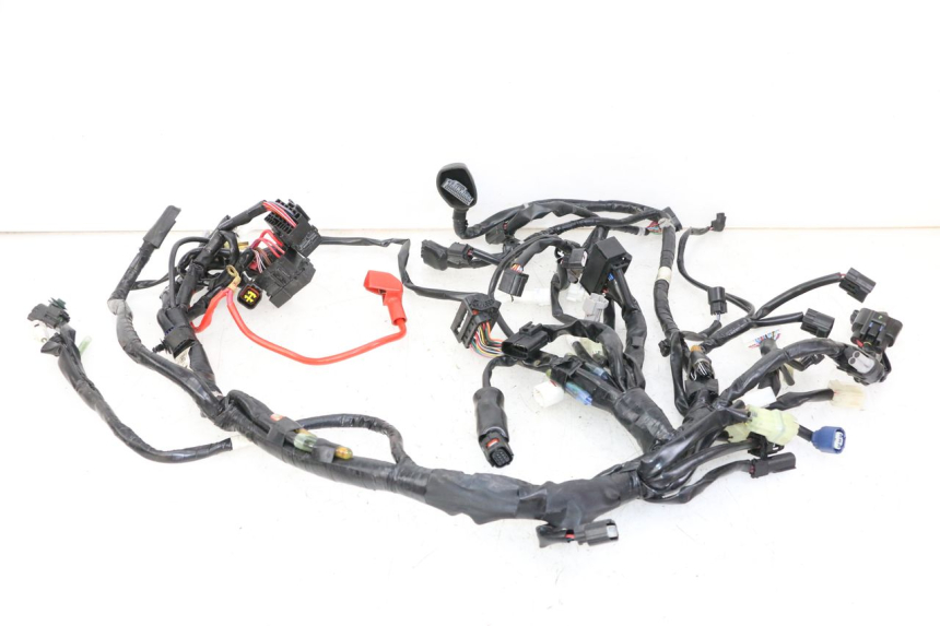 photo de IMPIANTO ELETTRICO YAMAHA TRACER 7 700 (2020 - 2024)