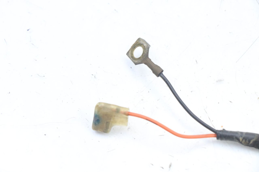 photo de Cablaggio YAMAHA TTR 125 (2000 - 2020)