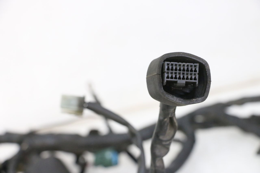 photo de IMPIANTO ELETTRICO YAMAHA XJ6 600 (2008 - 2016)