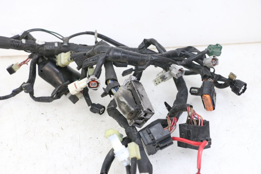 photo de Cablaggio YAMAHA XJ6 ABS 600 (2008 - 2016)