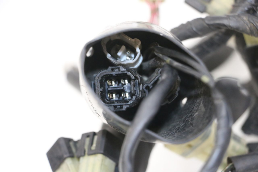 photo de Cablaggio YAMAHA XJ6 ABS 600 (2008 - 2016)