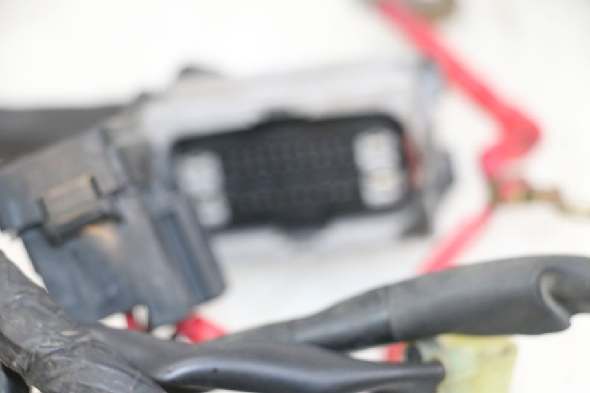 photo de Cablaggio YAMAHA XJ6 ABS 600 (2008 - 2016)