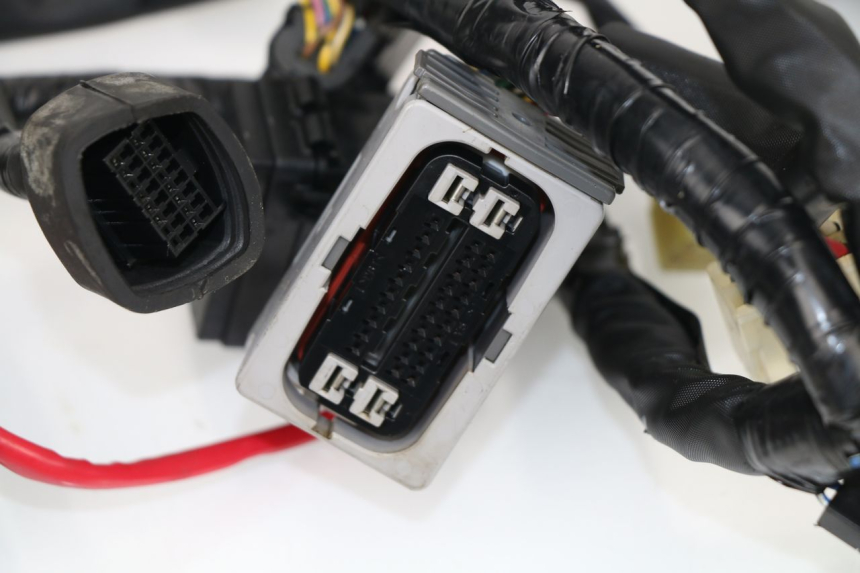 photo de Cablaggio YAMAHA XJ6 ABS 600 (2008 - 2016)