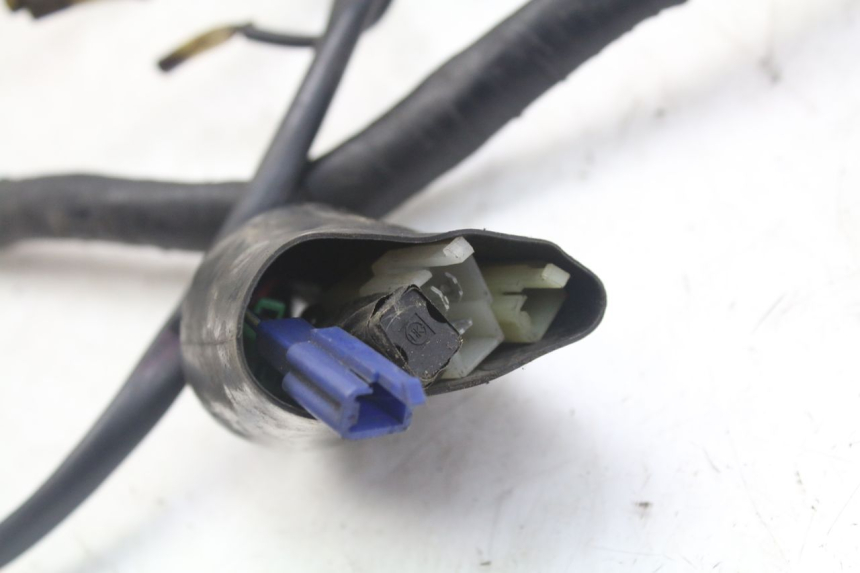 photo de IMPIANTO ELETTRICO YAMAHA XJN DIVERSION 600 (2000 - 2003)