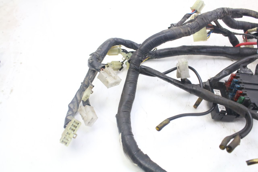 photo de IMPIANTO ELETTRICO YAMAHA XJN DIVERSION 600 (2000 - 2003)