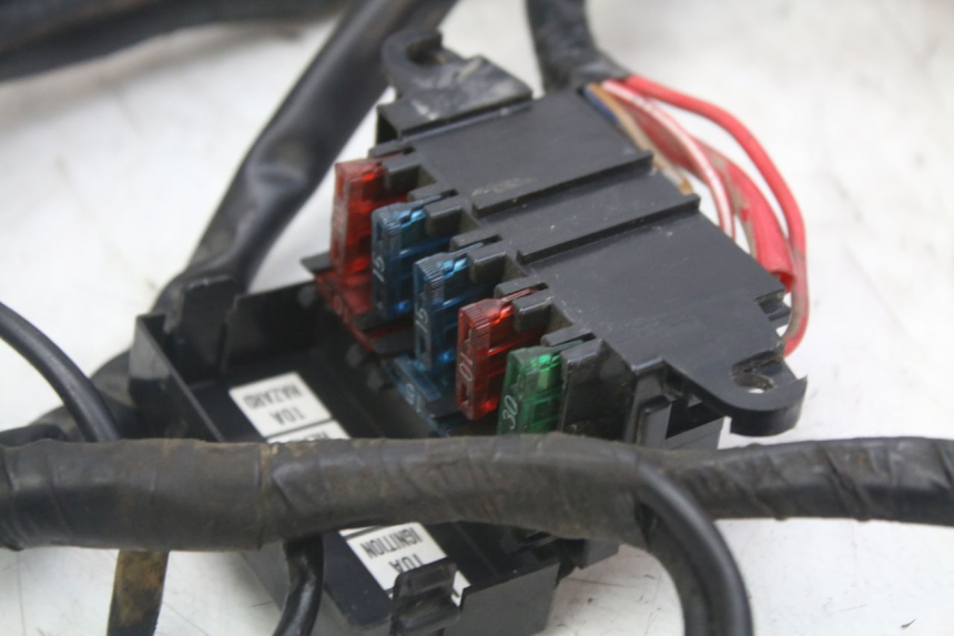 photo de IMPIANTO ELETTRICO YAMAHA XJN DIVERSION 600 (2000 - 2003)