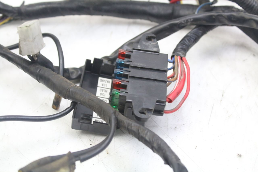 photo de IMPIANTO ELETTRICO YAMAHA XJN DIVERSION 600 (2000 - 2003)
