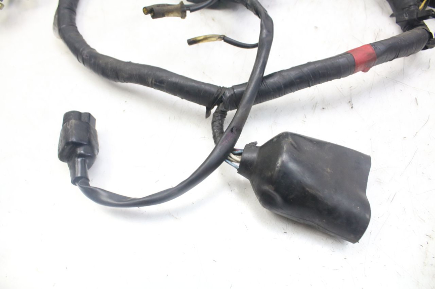 photo de IMPIANTO ELETTRICO YAMAHA XJN DIVERSION 600 (2000 - 2003)