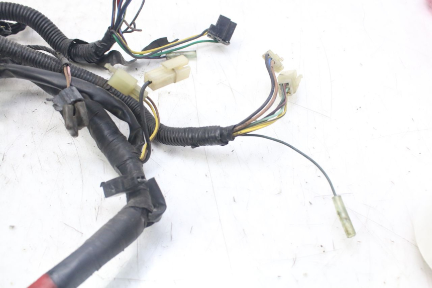 photo de IMPIANTO ELETTRICO YAMAHA XJN DIVERSION 600 (2000 - 2003)