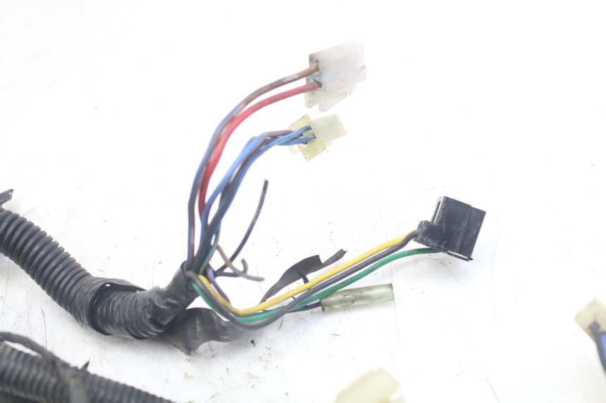 photo de IMPIANTO ELETTRICO YAMAHA XJN DIVERSION 600 (2000 - 2003)