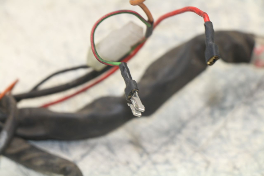 photo de FAISCEAU YAMAHA YP MAJESTY 125 (1998 - 2001)