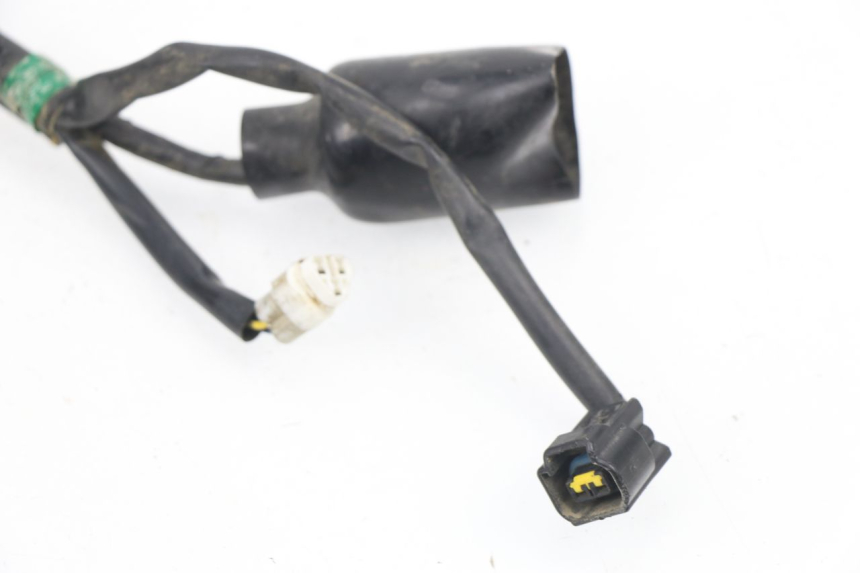 photo de IMPIANTO ELETTRICO YAMAHA YZF YZ-F 450 (2006 - 2009)