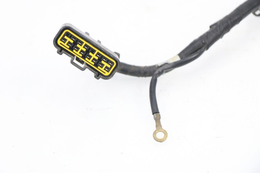 photo de IMPIANTO ELETTRICO YAMAHA YZF YZ-F 450 (2006 - 2009)