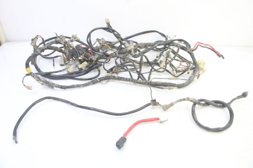photo de IMPIANTO ELETTRICO YAMAHA YFM BRUIN 350 (2003 - 2009)