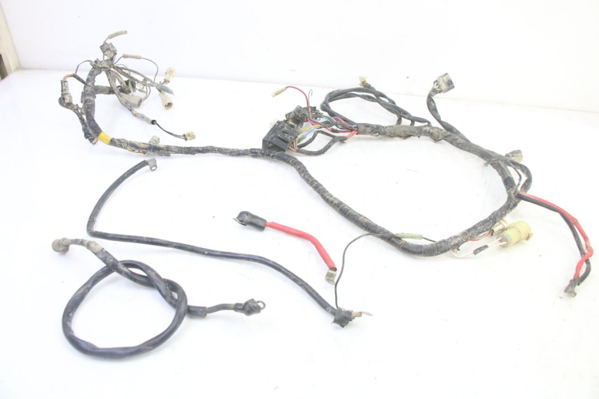 photo de IMPIANTO ELETTRICO YAMAHA YFM BRUIN 350 (2003 - 2009)