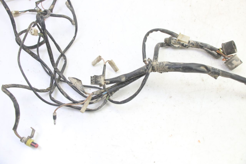 photo de IMPIANTO ELETTRICO YAMAHA YFM BRUIN 350 (2003 - 2009)