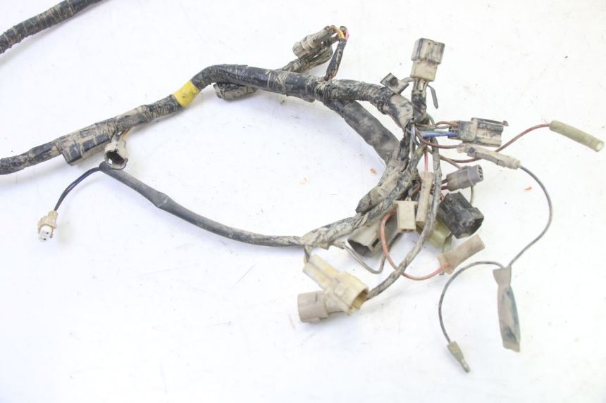photo de IMPIANTO ELETTRICO YAMAHA YFM BRUIN 350 (2003 - 2009)