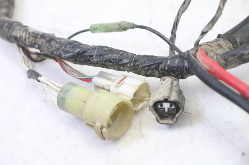 photo de IMPIANTO ELETTRICO YAMAHA YFM BRUIN 350 (2003 - 2009)