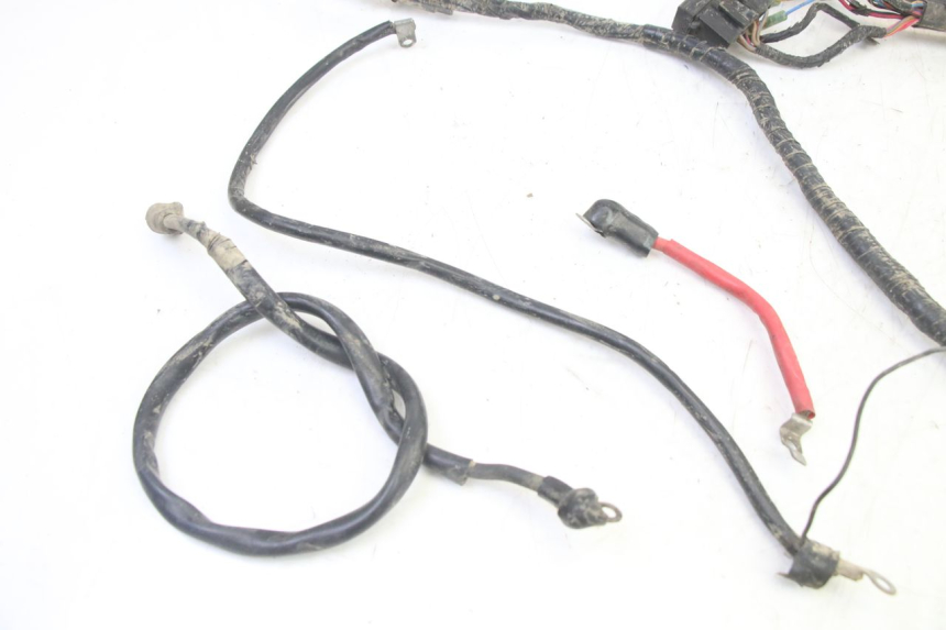 photo de IMPIANTO ELETTRICO YAMAHA YFM BRUIN 350 (2003 - 2009)