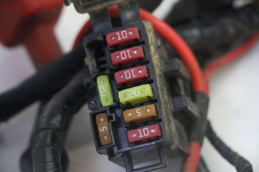 photo de IMPIANTO ELETTRICO YAMAHA YFM GRIZZLY 550 (2008 - 2015)