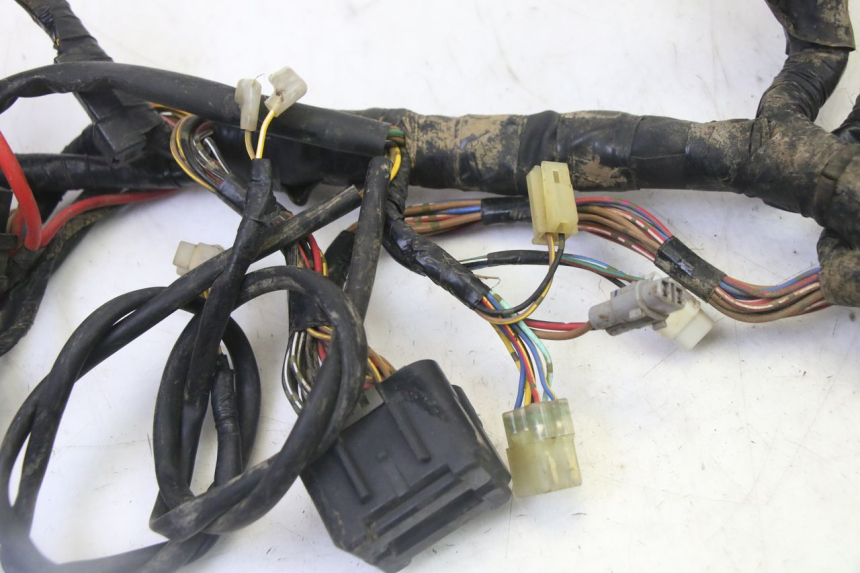 photo de IMPIANTO ELETTRICO YAMAHA YFM GRIZZLY 550 (2008 - 2015)