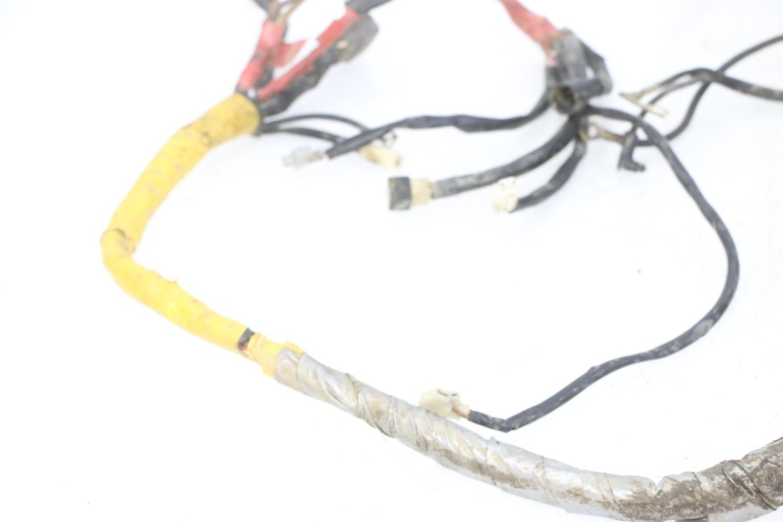 photo de IMPIANTO ELETTRICO YAMAHA YFM R RAPTOR 250 (2008 - 2014)