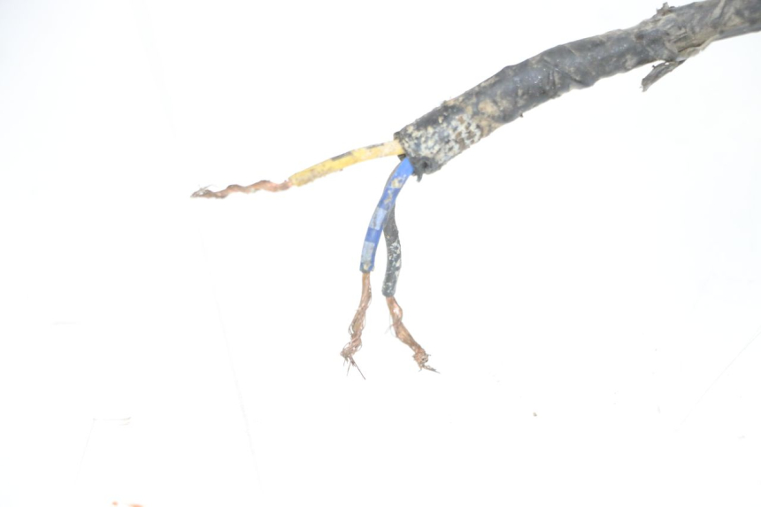 photo de IMPIANTO ELETTRICO YAMAHA YFM R RAPTOR 250 (2008 - 2014)