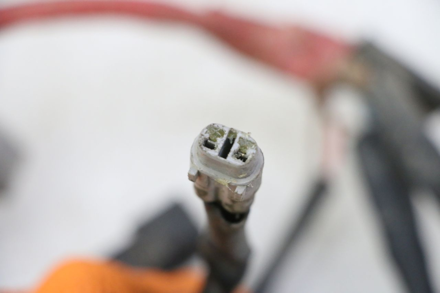 photo de IMPIANTO ELETTRICO YAMAHA YFM R RAPTOR 250 (2008 - 2014)