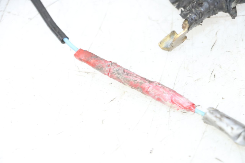 photo de IMPIANTO ELETTRICO YAMAHA YFM R RAPTOR 250 (2008 - 2014)