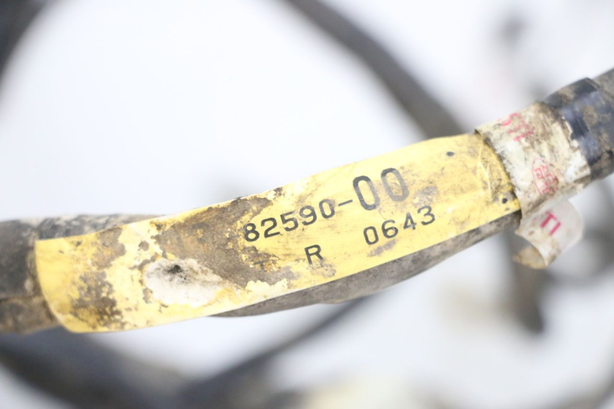 photo de IMPIANTO ELETTRICO YAMAHA YFM R RAPTOR 250 (2008 - 2014) - Dettaglio del componente