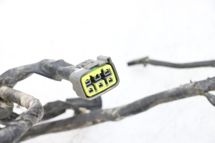 photo de IMPIANTO ELETTRICO YAMAHA YFM R RAPTOR 250 (2008 - 2014) - Vista d'insieme del prodotto