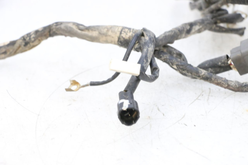 photo de IMPIANTO ELETTRICO YAMAHA YFM R RAPTOR 250 (2008 - 2014) - Dettagli dei punti di fissaggio