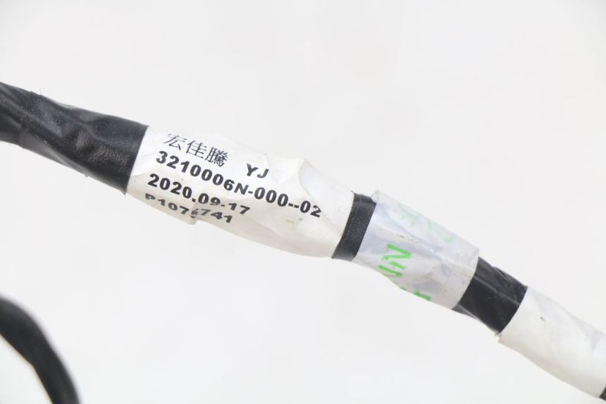 photo de FAISCEAU YAMAHA YFM R RAPTOR 90 (2017 - 2023)