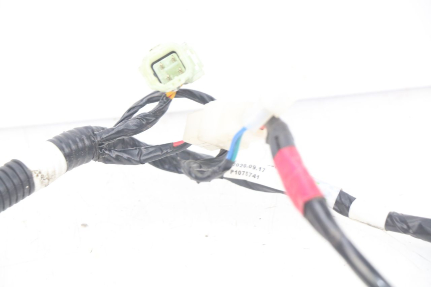 photo de FAISCEAU YAMAHA YFM R RAPTOR 90 (2017 - 2023)