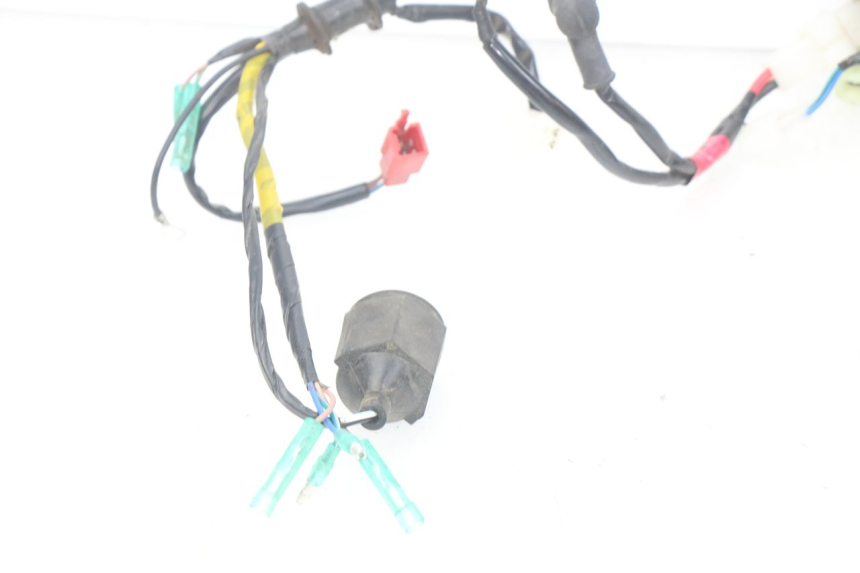 photo de FAISCEAU YAMAHA YFM R RAPTOR 90 (2017 - 2023)