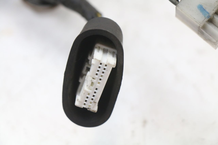 photo de FAISCEAU YAMAHA YP MAJESTY 125 (2002 - 2006)